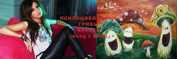 стафф Магадан