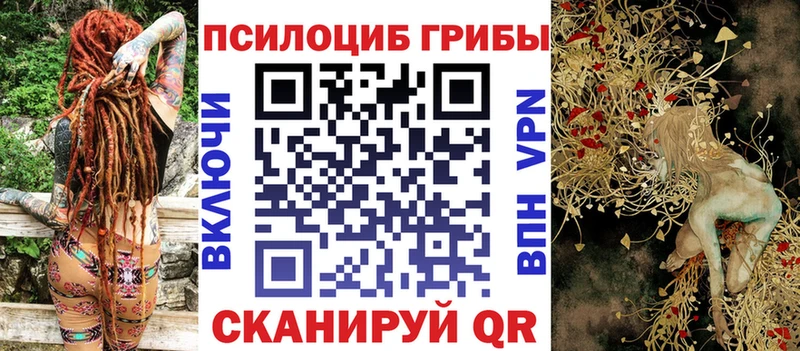 Галлюциногенные грибы прущие грибы  как найти закладки  Магадан 